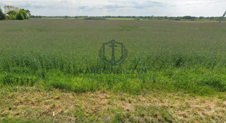 Działka Sprzedaż Maszewo 1