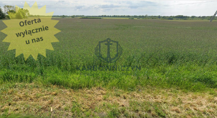 Działka Sprzedaż Maszewo 1