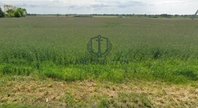 Działka Sprzedaż Maszewo