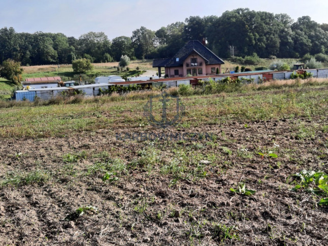 Działka Sprzedaż Kurów Na Klifie 10