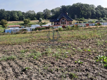 Działka Sprzedaż Kurów Na Klifie
