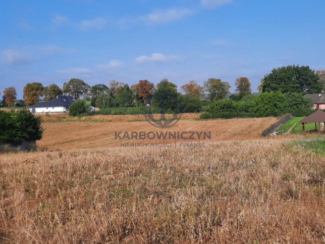 Działka Sprzedaż Kurów Na Klifie 13