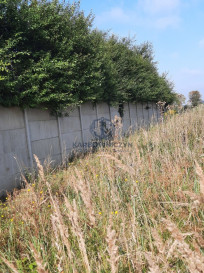 Działka Sprzedaż Kurów Na Klifie