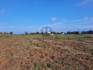 Działka Sprzedaż Kurów Na Klifie