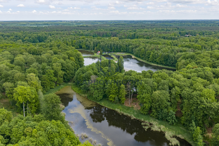 Działka Sprzedaż Wisławie 6