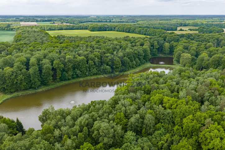 Działka Sprzedaż Wisławie 9