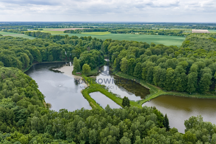 Działka Sprzedaż Wisławie 10