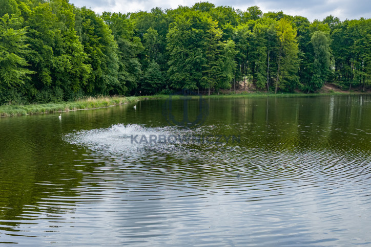 Działka Sprzedaż Wisławie 12