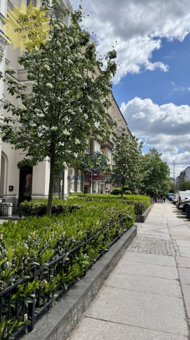 Mieszkanie Sprzedaż Szczecin Centrum Monte Cassino 1