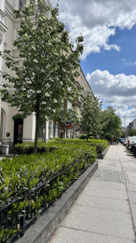 Mieszkanie Sprzedaż Szczecin Centrum Monte Cassino