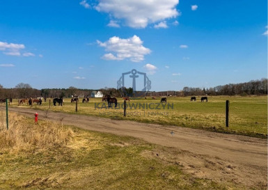 Działka Sprzedaż Białuń Jarzębinowa