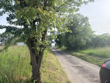 Działka Sprzedaż Przęsocin