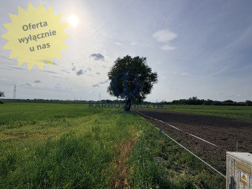 Działka Sprzedaż Przęsocin