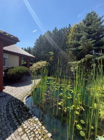 Dom Sprzedaż Bierzwnik Kwiatowa