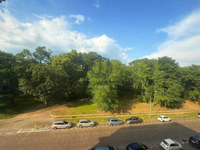 Mieszkanie Sprzedaż Szczecin Centrum 4