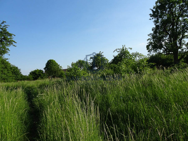 Działka Sprzedaż Binowo 10