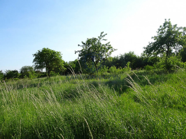 Działka Sprzedaż Binowo 12