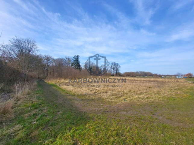 Działka Sprzedaż Koszewo 1