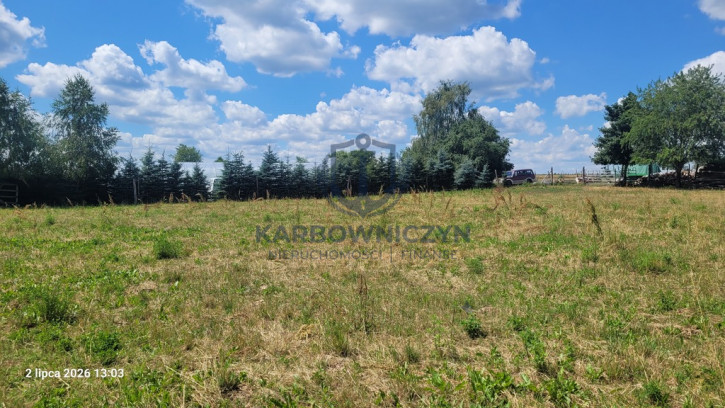 Działka Sprzedaż Wiśniewo 3
