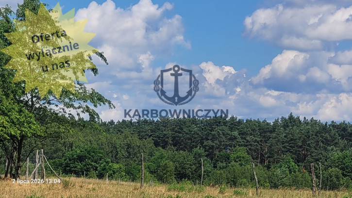 Działka Sprzedaż Wiśniewo 1