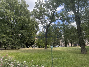 Mieszkanie Sprzedaż Szczecin Centrum Stanisława Więckowskiego
