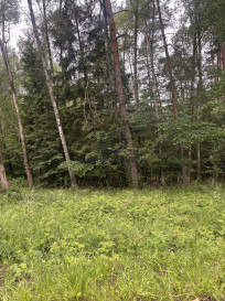 Działka Sprzedaż Piaseczno