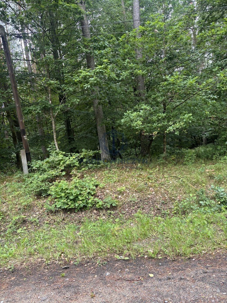 Działka Sprzedaż Piaseczno