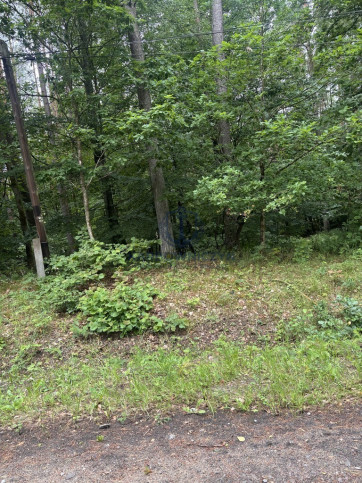 Działka Sprzedaż Piaseczno 6