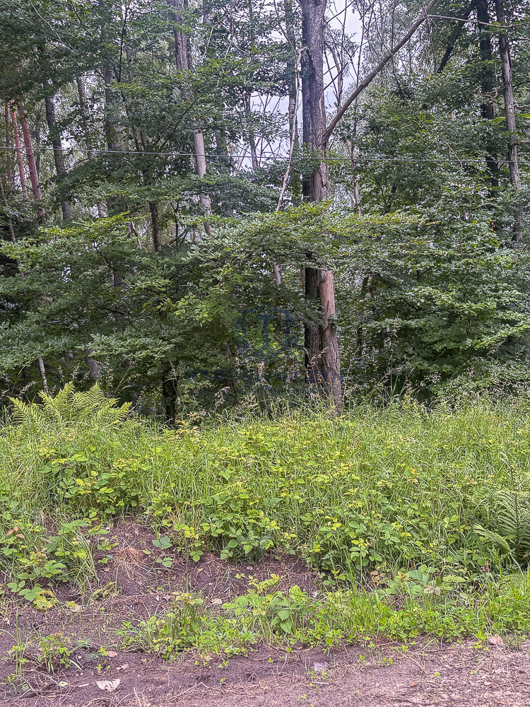 Działka Sprzedaż Piaseczno