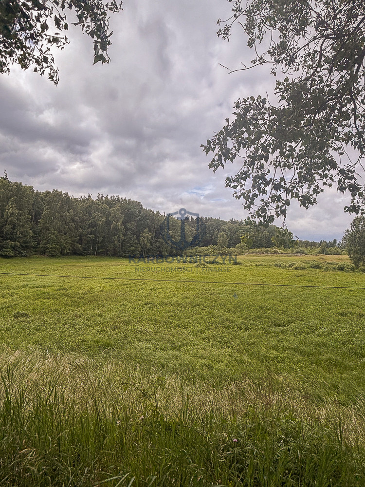 Działka Sprzedaż Piaseczno