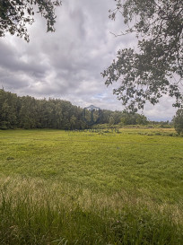 Działka Sprzedaż Piaseczno