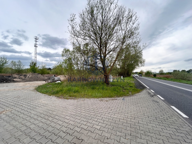 Działka Sprzedaż Szczecin Dąbie Lubczyńska 3