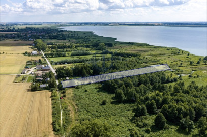 Działka Sprzedaż Wierzbno
