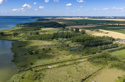 Działka Sprzedaż Wierzbno