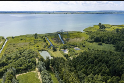 Działka Sprzedaż Wierzbno