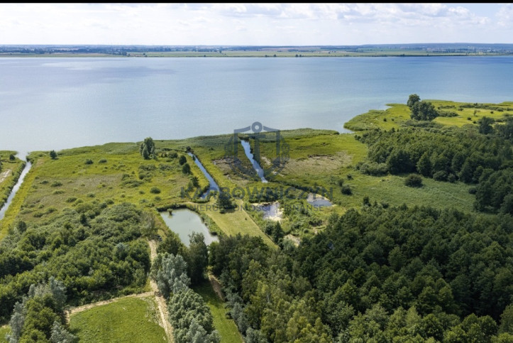 Działka Sprzedaż Wierzbno 7