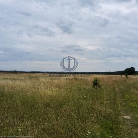 Działka Sprzedaż Buk 3