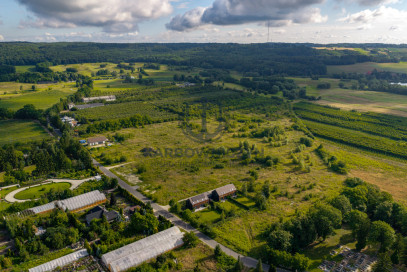 Działka Sprzedaż Binowo