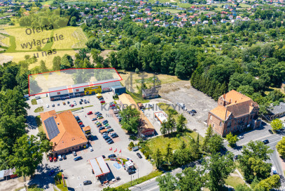 Działka Sprzedaż Chojna
