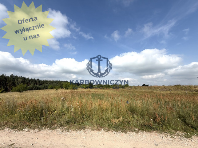 Działka Sprzedaż Daleszewo 1