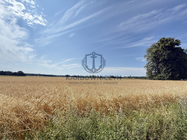 Działka Sprzedaż Oświno 19
