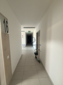 Mieszkanie Wynajem Rajkowo Spokojna