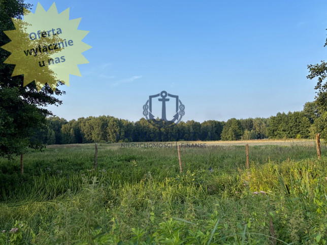 Działka Sprzedaż Tanowo 1