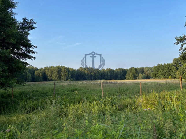 Działka Sprzedaż Tanowo 1