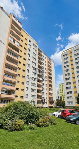 Mieszkanie Wynajem Szczecin Zdroje Młodzieży Polskiej 19