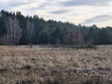 Działka Sprzedaż Świnoujście Przytór Zalewowa
