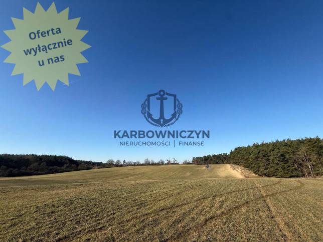 Działka Sprzedaż Buk 1