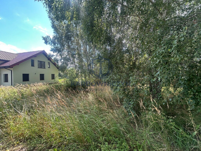 Działka Sprzedaż Dołuje 4