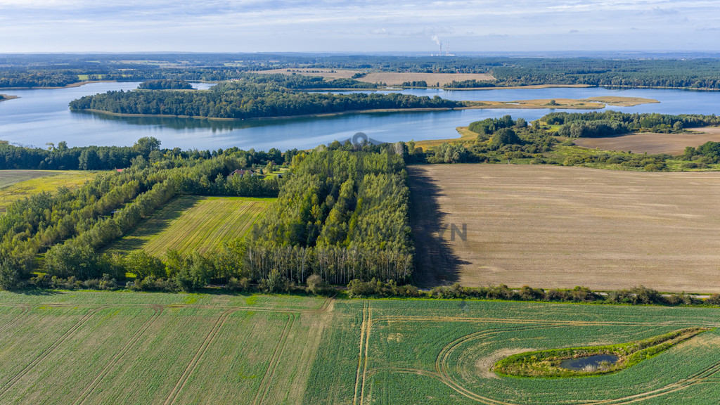 Działka Sprzedaż Wełtyń