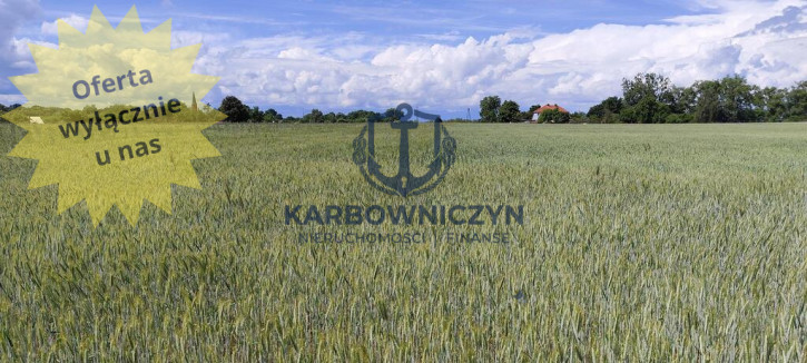 Działka Sprzedaż Żarnowo 1